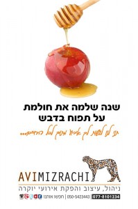 פרסום